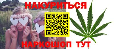 прущие крисы Камышлов