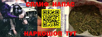 прущие крисы Камышлов