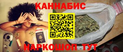 прущие крисы Камышлов