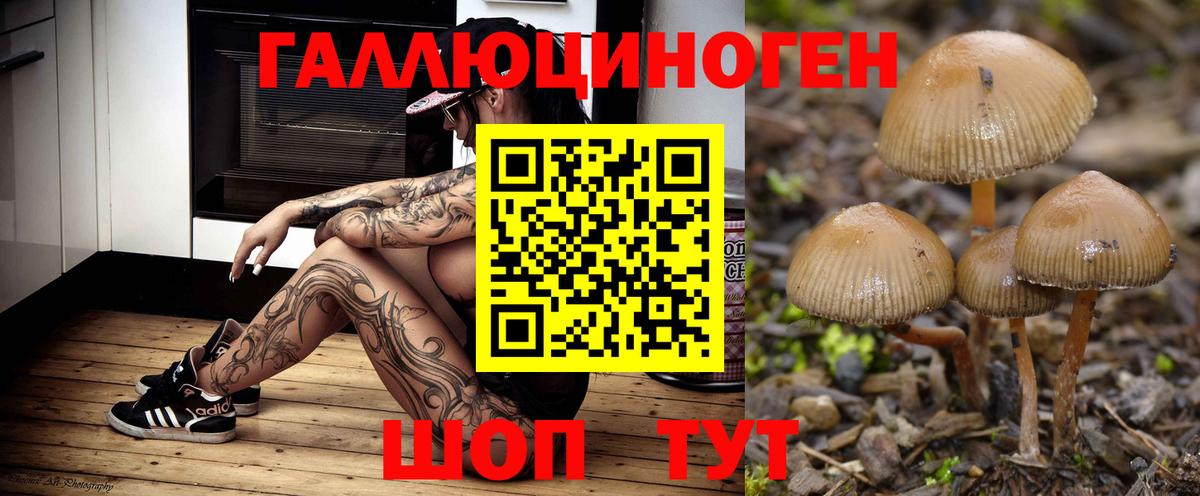 Галлюциногенные грибы Cubensis Котовск